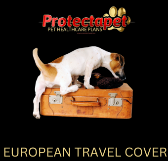 European Pet Travel Insurance for Protectapet Insurance plans